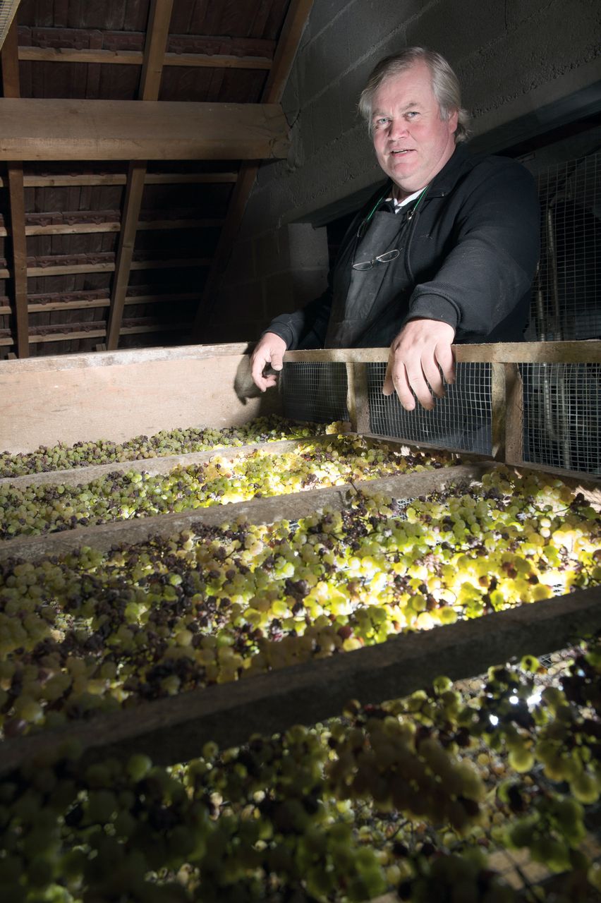 Vins Vigneron François Mossu Mossu-0010